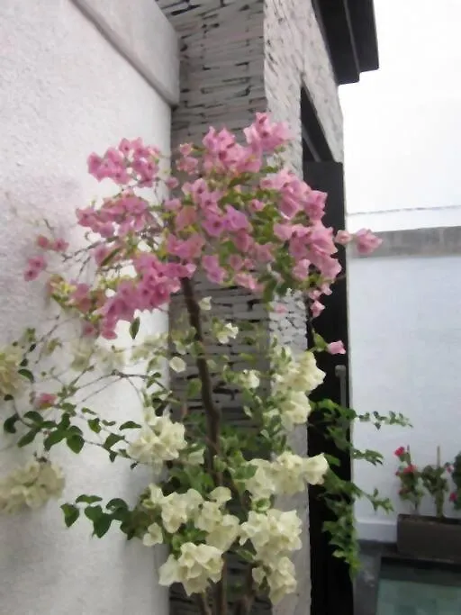 Vila 40 Off Special Brilliant Location Seminyak 0*,